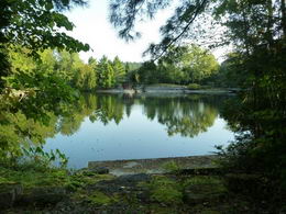 Pond and Cabana - Country homes for sale and luxury real estate including horse farms and property in the Caledon and King City areas near Toronto